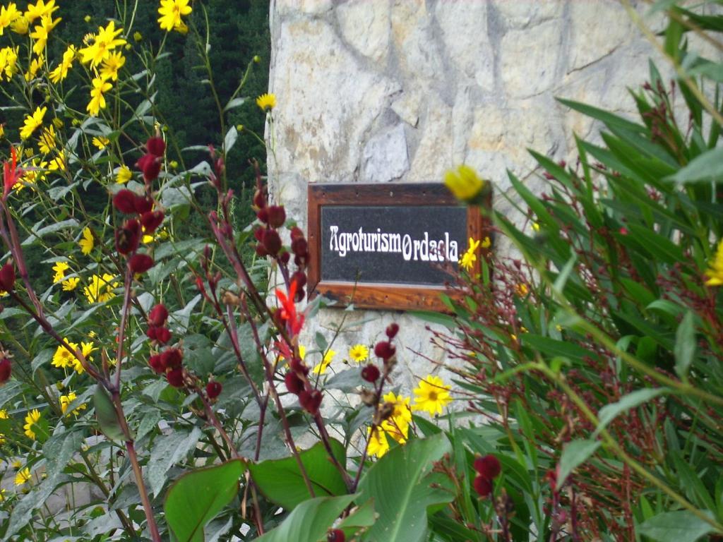 Agroturismo Ordaola Alonsotegi Εξωτερικό φωτογραφία